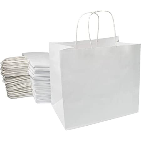 100 Sacs kraft BLANC poignées ficelles torsadées: 23*34*12