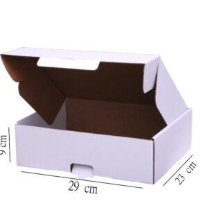 Carton Blanc 29x23x9 cm,