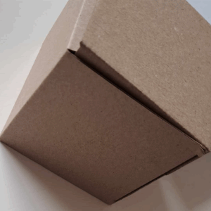 Boite carton Marron  10×10×10