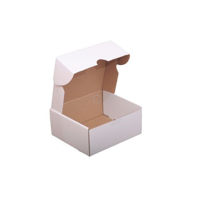 Carton Box  blanc 25*25*10